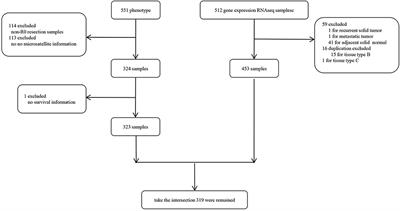 Comprehensive Analysis of Microsatellite-Related Transcriptomic Signature and Identify Its Clinical Value in Colon Cancer